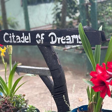 Apartmán Citadel Of Dreams Ella Exteriér fotografie